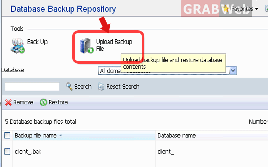 bvackup database backup database