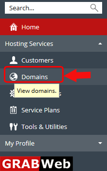 domain activate