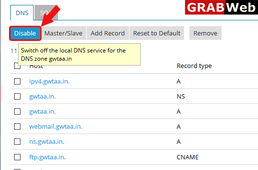 disable dns
