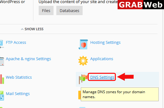 enable dns