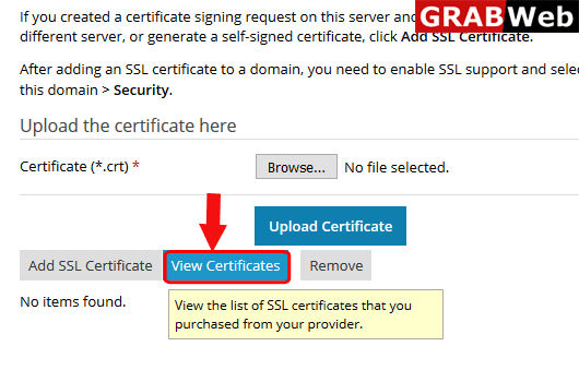 view certificate
