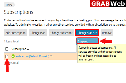 suspend subscription